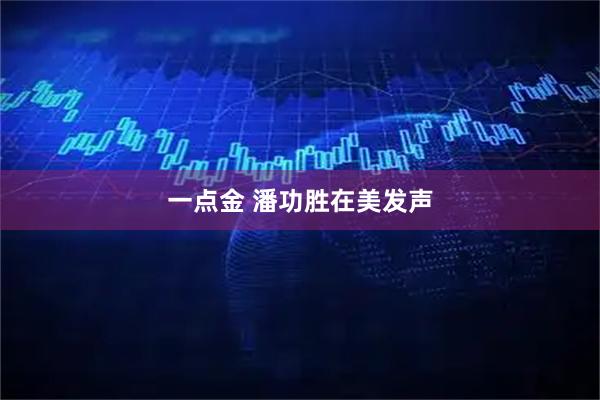 一点金 潘功胜在美发声