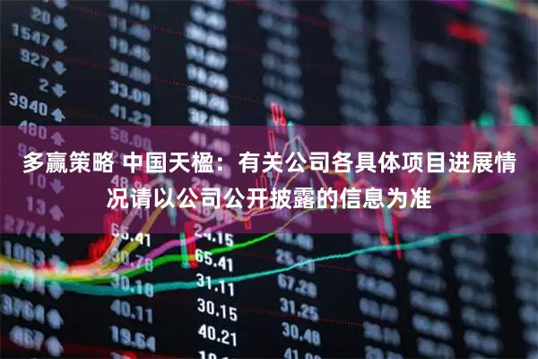 多赢策略 中国天楹：有关公司各具体项目进展情况请以公司公开披露的信息为准